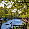 Dutch Canal