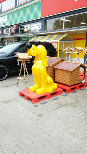 Big Yellow Dog