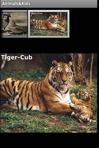 animal-kids for android screenshot