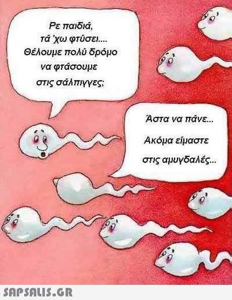 Ρε παιδιά, τα  χω φτύσει Θέλουμε πολύ δρόμο να φτάσουμε στις σάλπιγγες; Άστα να πάνε Ακόμα είμαστε στις αμυγδαλές 