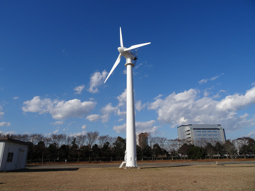 東京電機大学 風車