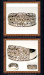 Espectaculares Anillos De Dama