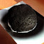 Carbon ball