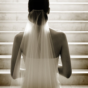 by Robert Evans - Wedding Bride
