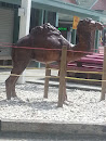 Camel Statue 