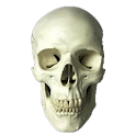 Ghost Guide USA