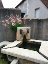 Gargoyle Fountain 