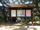 Lion Rock Country Park Map & Notice Board