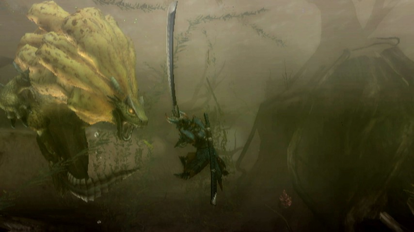 Monster Hunter Tri