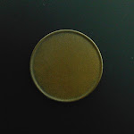 Plain coin