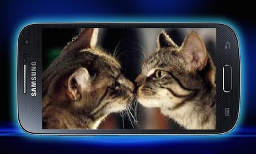 How to get Mirror Effects & Art Photo lastet apk for bluestacks