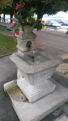 Brunnen at Luzern