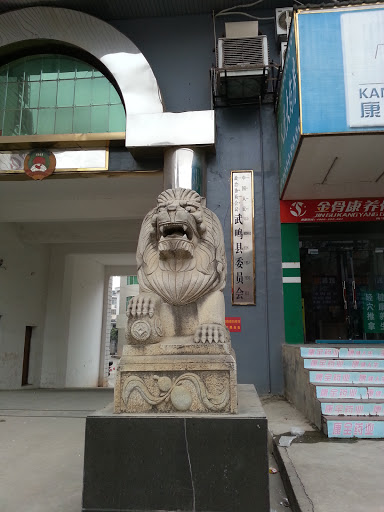 Guardian of Wuming PCC