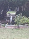 Fountain and Statue
