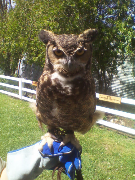 Spotting Image 1