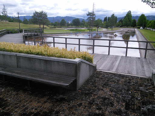 Water Garden In Nagano Patk