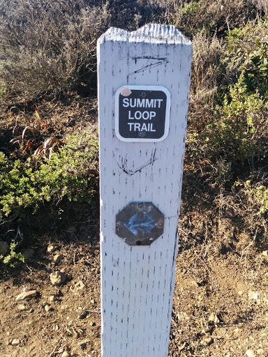 Summit Loop Trail Marker #8