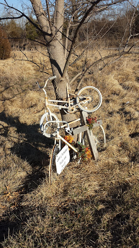 Bicycle Angels Roadside Memorial