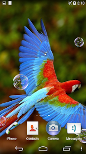 How to install Parrots Live Wallpaper lastet apk for android