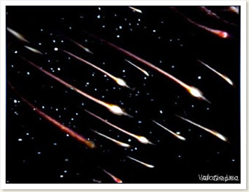 070810_meteor_shower