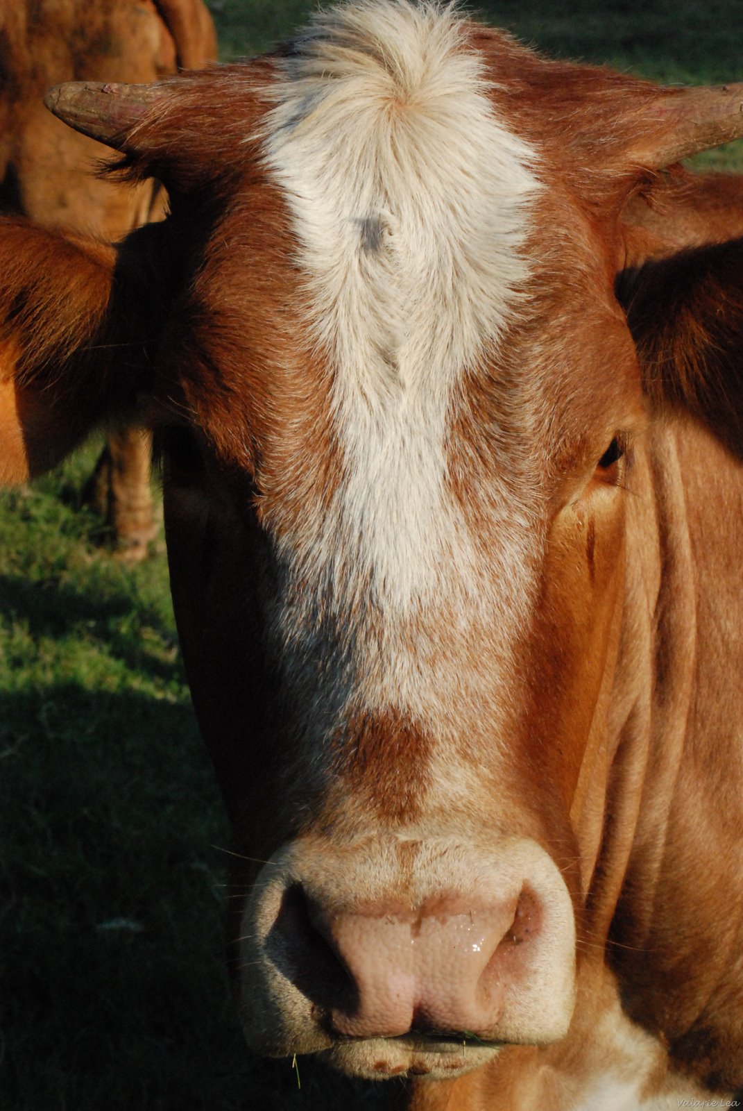 [AUGUSTSTUFF08037[3].jpg]