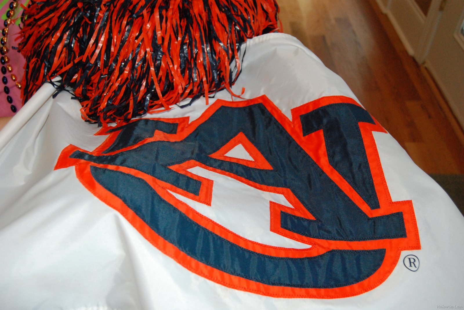 [AuburnTurtleSpider014[4].jpg]