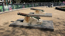 Victoria Park Cannons