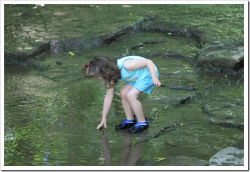 Lorelei in stream