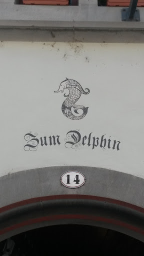Zum Delphin