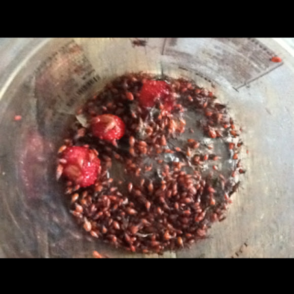 Spotting Image 1
