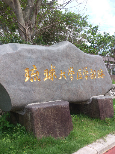 RyuuKyuu Daigaku IgakuBu Stone