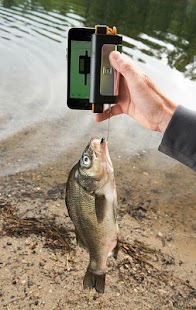 How to install Fish Scale lastet apk for bluestacks