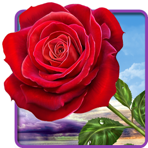 Rose. Magic Touch Flowers for PC-Windows 7,8,10 and Mac