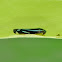 Leafhopper