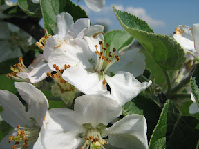 april2008 020.JPG