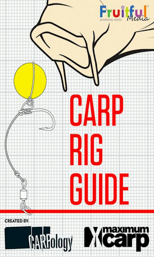 Carp Rig Guide