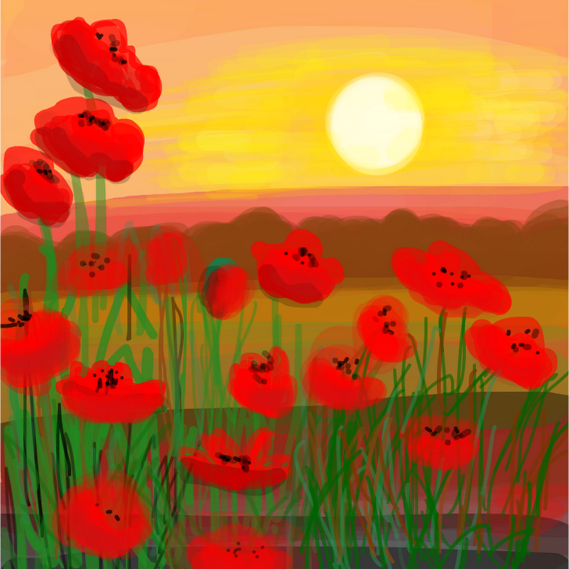 Poppies in the sun » drawings » SketchPort