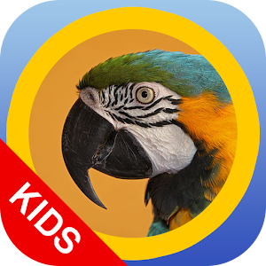 matchBIRDS Kids.apk 1.4