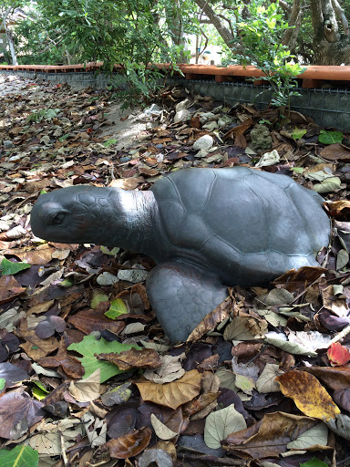 Statue of Sea Turtle