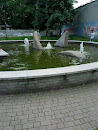 Fontana Del Drago