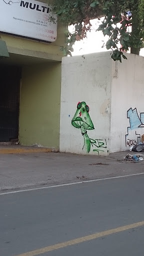 Hongo Graffiti