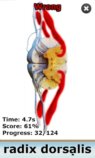 【免費醫療App】Anatomy Star - CNS (the Brain)-APP點子