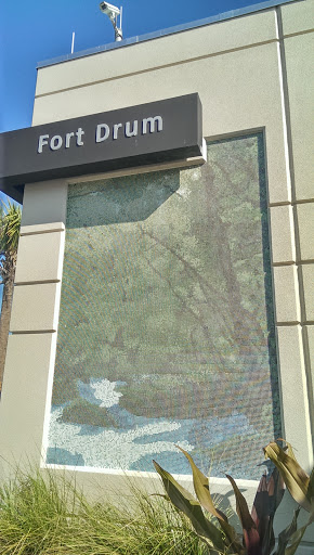 Fort Drum Mosaic