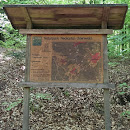 Naturpark Neckar-Odenwald 