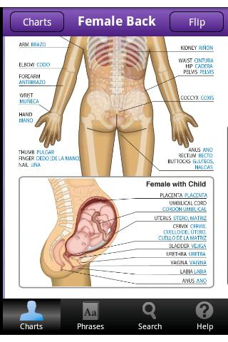 DuoChart Medical Spanish