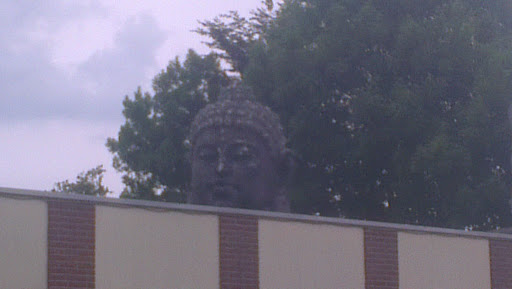 Boeddha Op Dak