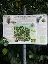 Garglehill Plantation