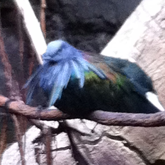 Spotting Image 1