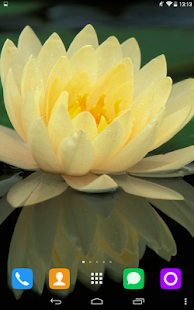 How to get Water Lily Live Wallpaper 1.1.1 apk for pc