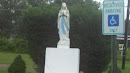 Mother Mary of Saint Patricks